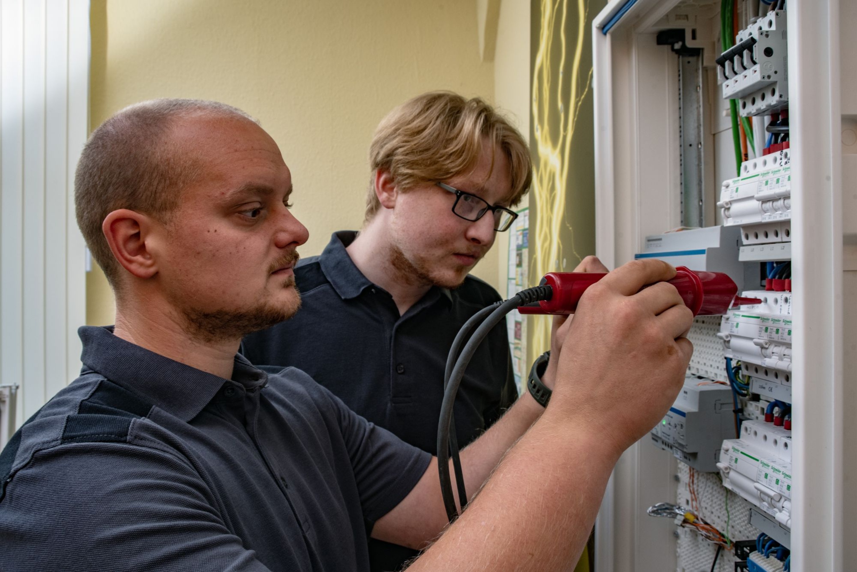 Elektroniker für Energie- und Gebäudetechnik (m/w/d) bei Elektro-Müller & Söhne GmbH in Bleicherode